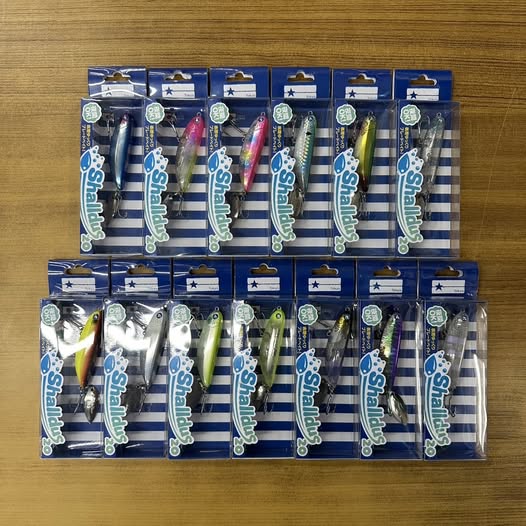 ブルーブルー「シャルダス20」再入荷しました！